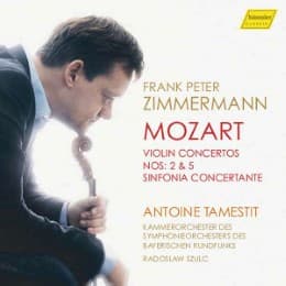 Cover von Violin Concertos 2 & 5