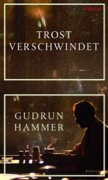 Cover von Trost verschwindet