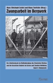 Cover von Zwangsarbeit im Bergwerk