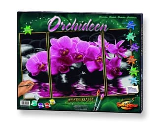 Cover von Malen nach Zahlen: Orchideen