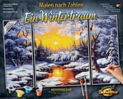 Cover von Malen nach Zahlen: Ein Wintertraum