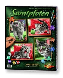 Cover von Malen nach Zahlen: Samtpfoten