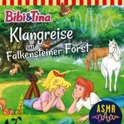 Cover von Klangreise im Falkensteiner Forst