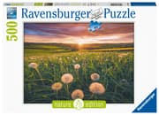 Cover von Pusteblumen im Sonnenuntergang