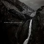 Cover von The Gospel According To Water