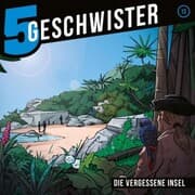 Cover von 13: Die vergessene Insel