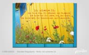 Cover von Ich schenke Dir