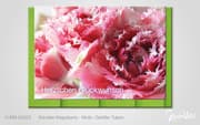 Cover von Gefüllte Tulpen - Herzlichen Glückwunsch