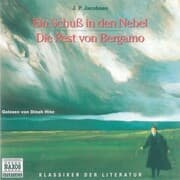 Cover von Ein Schuss in den Nebel - Die Pest von Bergamo