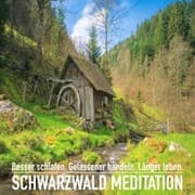 Cover von DIE SCHWARZWALD MEDITATION: Spüre dich wieder und erlebe einzigartige Momente der Ruhe