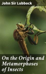 Cover von On the Origin and Metamorphoses of Insects