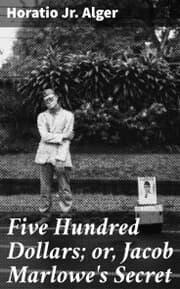Cover von Five Hundred Dollars; or, Jacob Marlowe's Secret