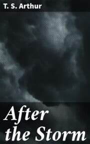 Cover von After the Storm
