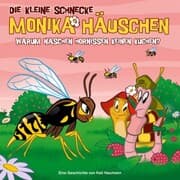 Cover von 43: Warum naschen Hornissen keinen Kuchen?