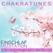Cover von Du bist gut, so wie Du bist