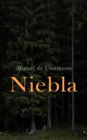 Cover von Niebla (Nivola)