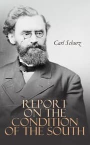 Cover von Report on the Condition of the South