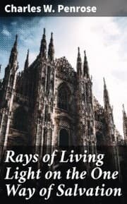Cover von Rays of Living Light on the One Way of Salvation