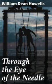 Cover von Through the Eye of the Needle