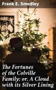 Cover von The Fortunes of the Colville Family; or, A Cloud with its Silver Lining