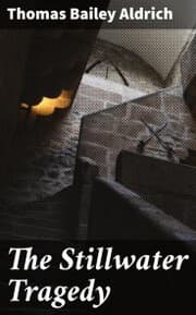 Cover von The Stillwater Tragedy