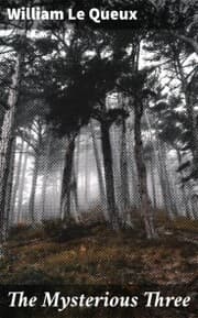 Cover von The Mysterious Three