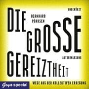 Cover von Die große Gereiztheit. Wege aus der kollektiven Erregung