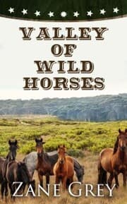 Cover von Valley of Wild Horses