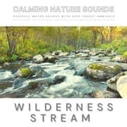 Cover von Peaceful Water Sounds With Deep Forest Ambiance: Wilderness Stream & Babbling Brook