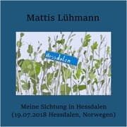 Cover von Meine Sichtung in Hessdalen (19.07.2018 Hessdalen, Norwegen)