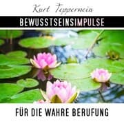 Cover von Bewusstseinsimpulse für die wahre Berufung