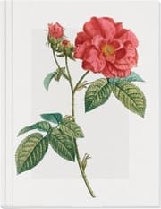 Cover von Geschichte der Rose Notizheft - Französische Rose