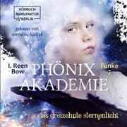 Cover von Das dreizehnte Sternenlicht