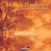 Cover von Schattenfeuer