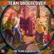 Cover von Ein Team für alle Fälle