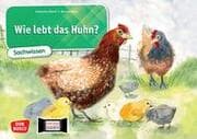 Cover von Wie lebt das Huhn?