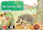 Cover von Wie lebt der Igel?