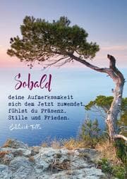 Cover von Eckhart Tolle Postkarten 'Sobald'