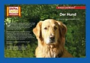 Cover von Der Hund / Kamishibai Bildkarten