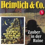 Cover von Zauber in der Ruine