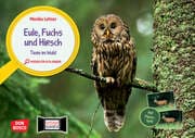 Cover von Eule, Fuchs und Hirsch - Tiere im Wald