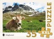 Cover von Kuh auf der Alp