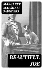 Cover von Beautiful Joe