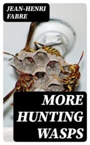 Cover von More Hunting Wasps