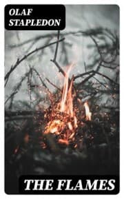 Cover von The Flames