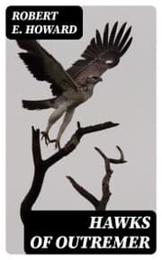 Cover von Hawks of Outremer