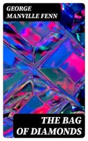 Cover von The Bag of Diamonds