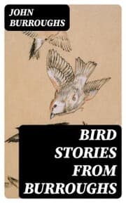 Cover von Bird Stories from Burroughs