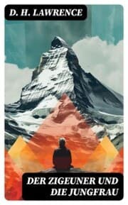 Cover von Der Zigeuner und die Jungfrau