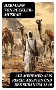 Cover von Aus Mehemed Alis Reich: Ägypten und der Sudan um 1840
